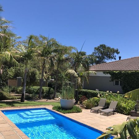 African Palm Cottage And Guesthouse Durbanville Exterior photo