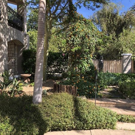 African Palm Cottage And Guesthouse Durbanville Exterior photo