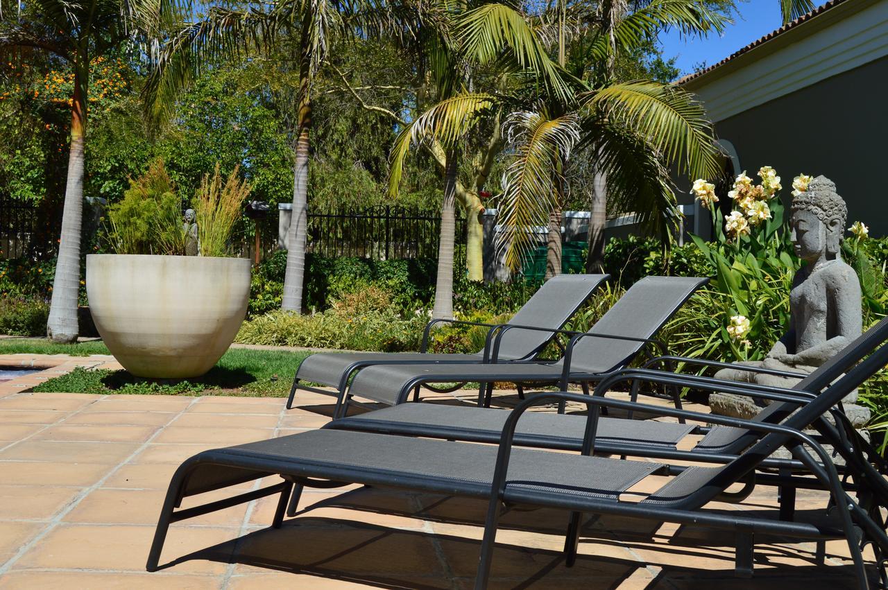 African Palm Cottage And Guesthouse Durbanville Exterior photo