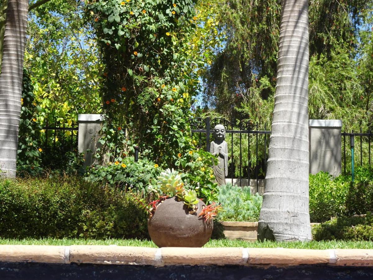 African Palm Cottage And Guesthouse Durbanville Exterior photo